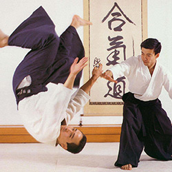 Les arts martiaux japonais