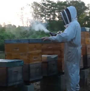 L’apiculteur
